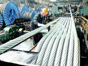 畢節(jié)市人民政府門(mén)戶(hù)網(wǎng)站