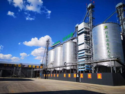 美麗工廠 建設(shè),為米業(yè)集團發(fā)展注入澎湃動能